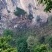 【精选】贵州本地黑山羊农户自家养殖自产自销量大价优
