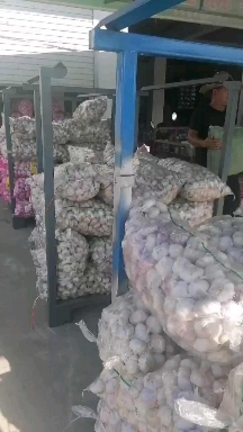 江苏红皮蒜鲜蒜净蒜精品蒜红蒜本地直发走市场，代购代存