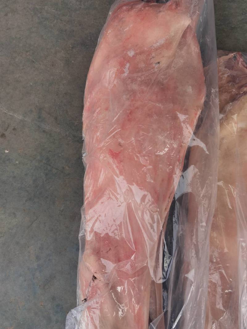 内蒙古羊肉-白条羊质量好欢迎咨询采购下单