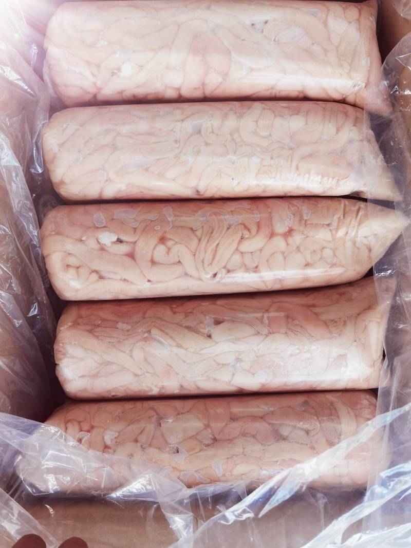 内蒙古-羊副产品-羊肠保质保量欢迎咨询采购