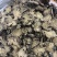 川芎无硫磺熏蒸一公斤起批