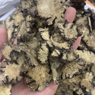 川芎无硫磺熏蒸一公斤起批