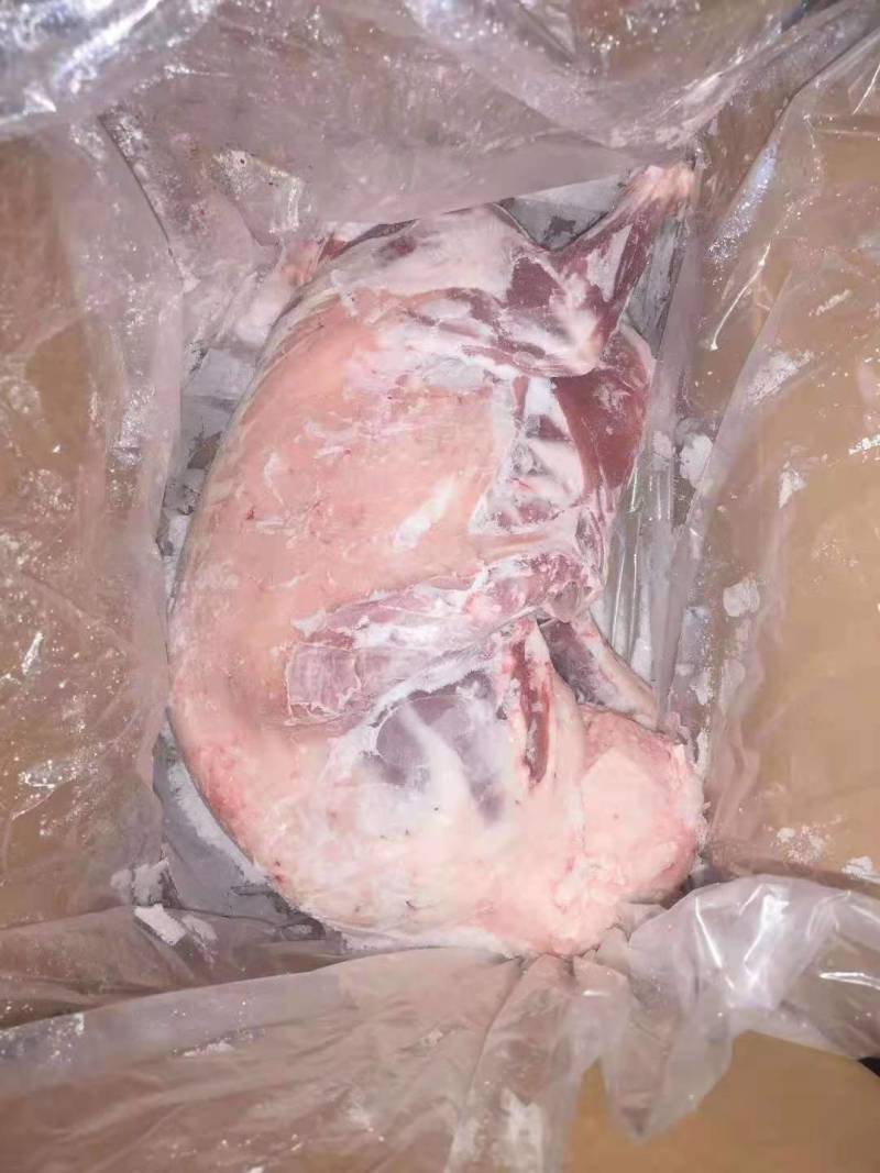 内蒙古羊肉-白条羊小白条羊质量好价格优惠