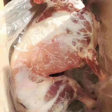 内蒙古羊肉-白条羊小白条羊质量好价格优惠