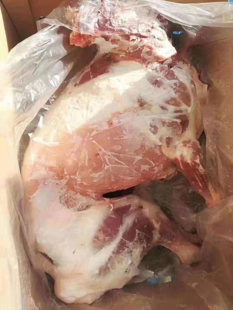 内蒙古羊肉-白条羊小白条羊质量好价格优惠
