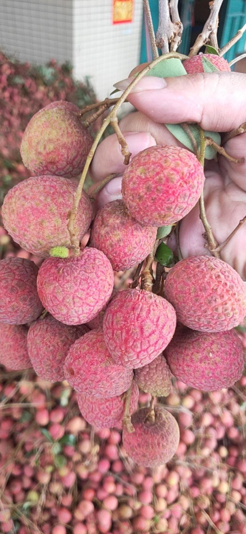荔枝