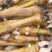 内蒙古牛副产品-牛蹄牛蹄子质量好价格优惠