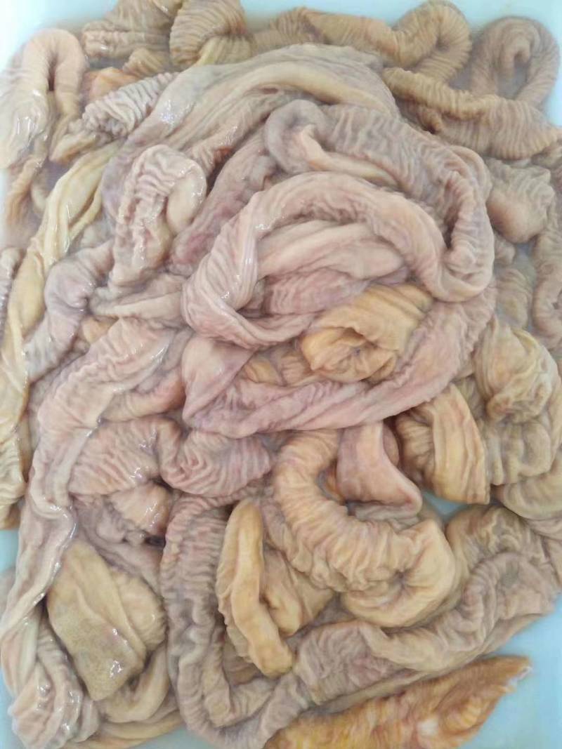 内蒙古牛副产品-牛肠牛肠子质量好欢迎咨询