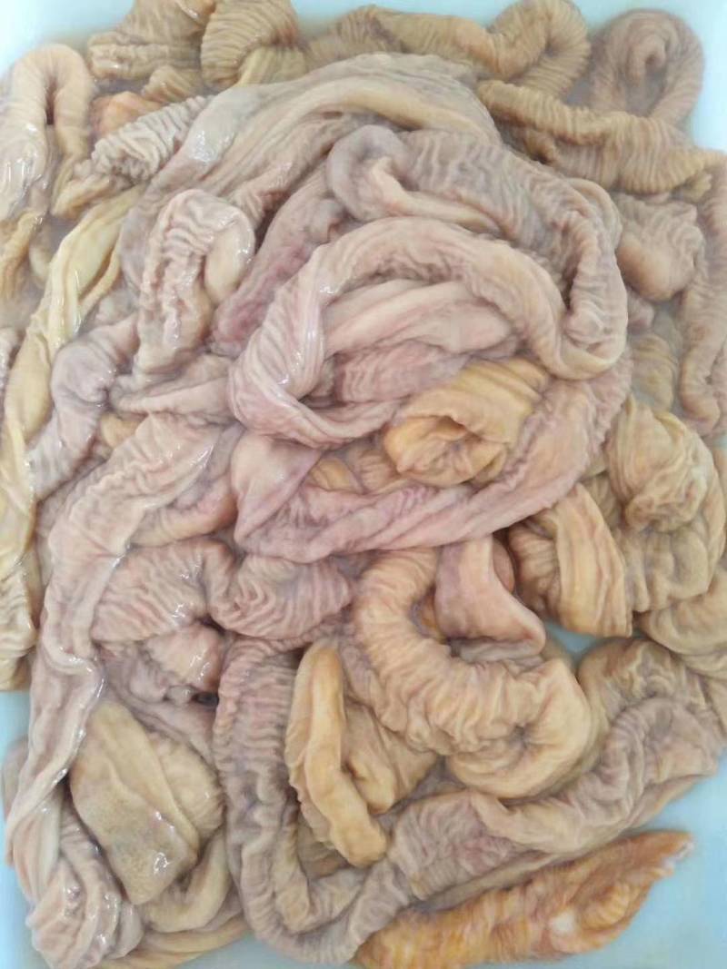 内蒙古牛副产品-牛肠牛肠子质量好欢迎咨询