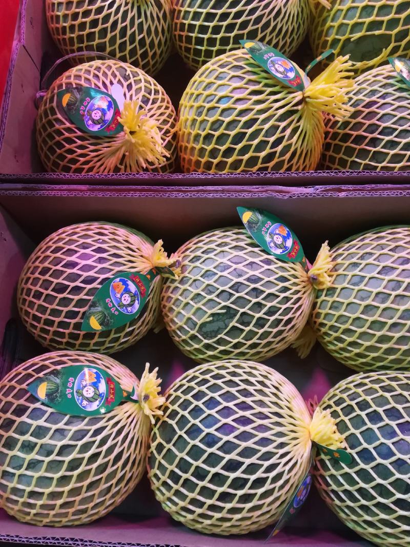 水果出口物流