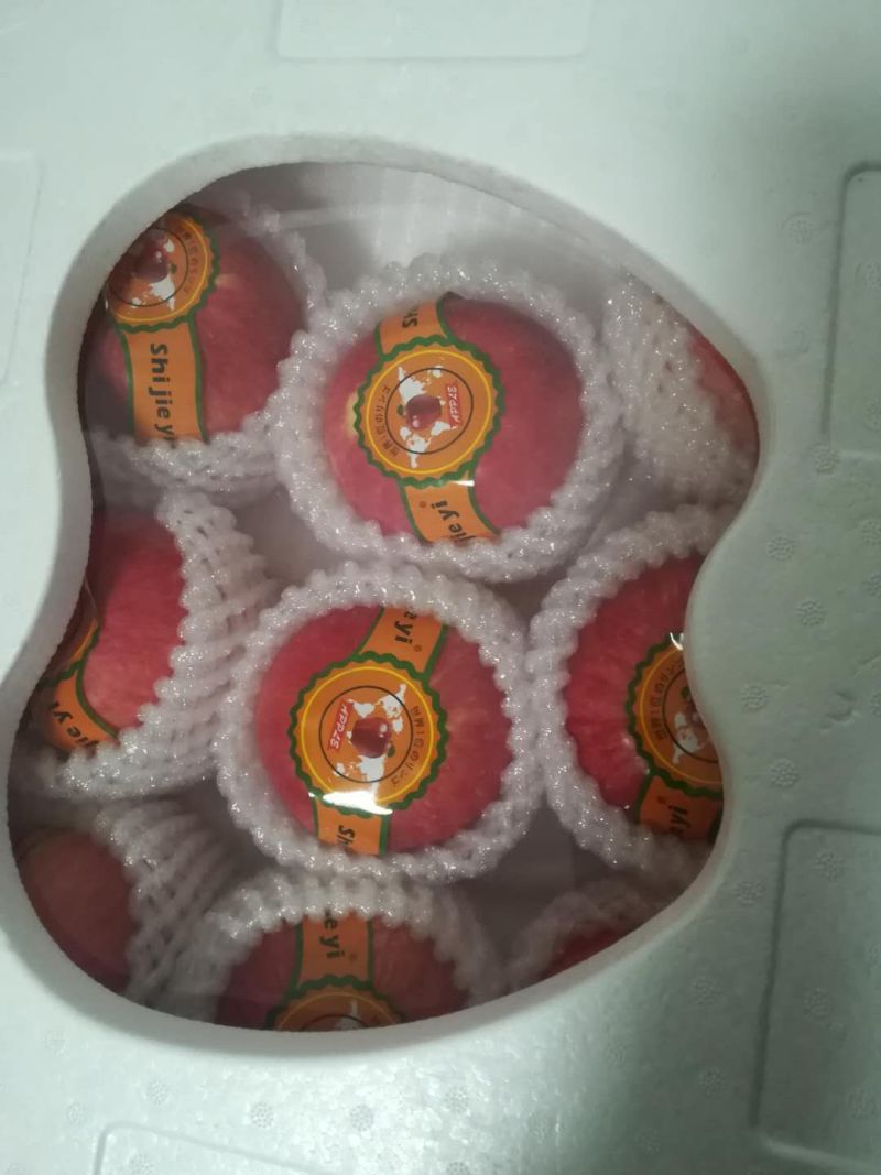 水果出口物流