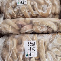 内蒙古-牛副产品-牛大肠质量好价格优惠欢迎咨询