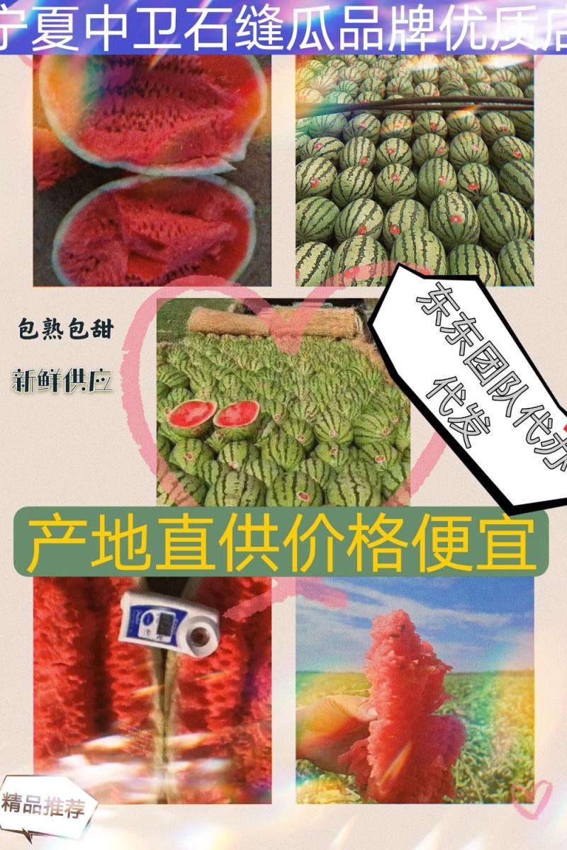 宁夏中卫香山硒砂瓜石头瓜代办代理专业团队模式量大从优