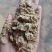 甘肃新疆四川云南贵州稻壳，各种糠，米