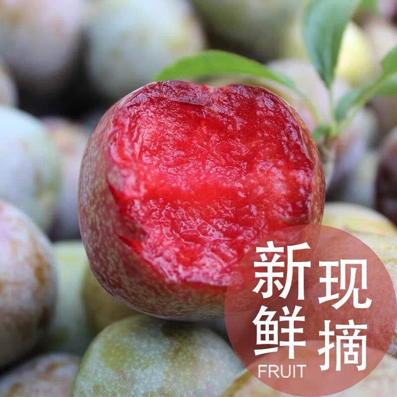 三华李红李一件包邮顺风包邮
