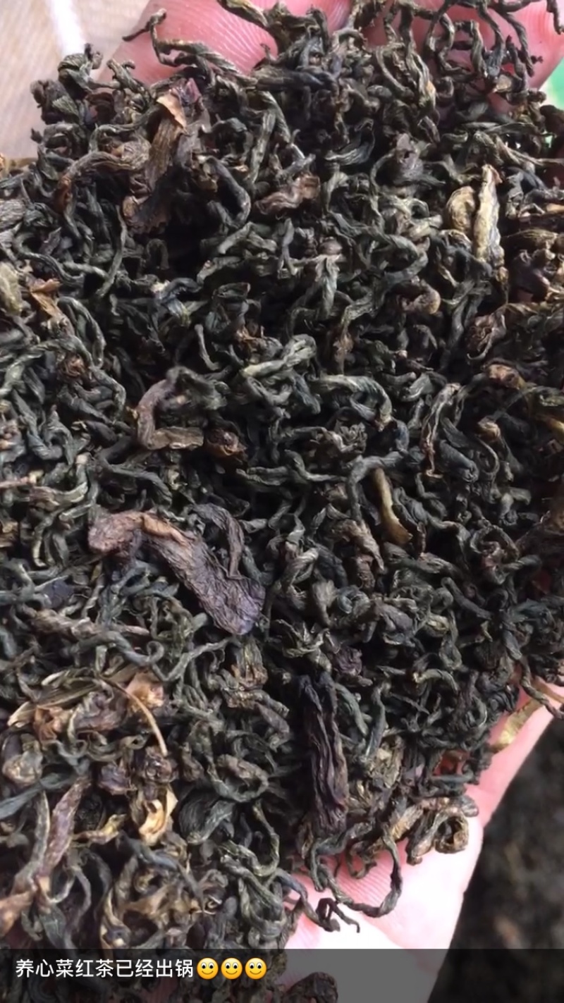 养心菜茶、救心菜茶、景天三七茶、健康茶。