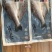 海鲈鱼质量好价格低，口感不错肉质劲道欢迎询价下单