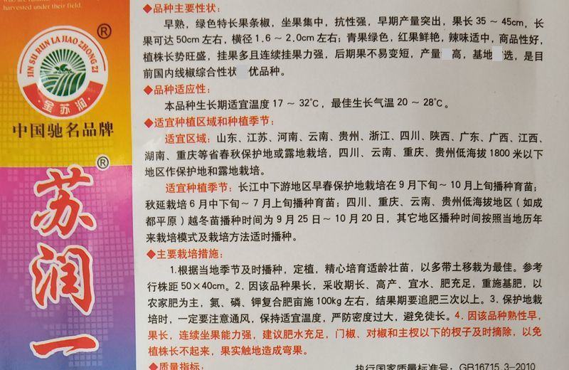 苏润一椒苏润998长线椒辣椒种籽高产早熟耐热春秋播顺直香