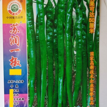 苏润一椒苏润998长线椒辣椒种籽高产早熟耐热春秋播顺直香