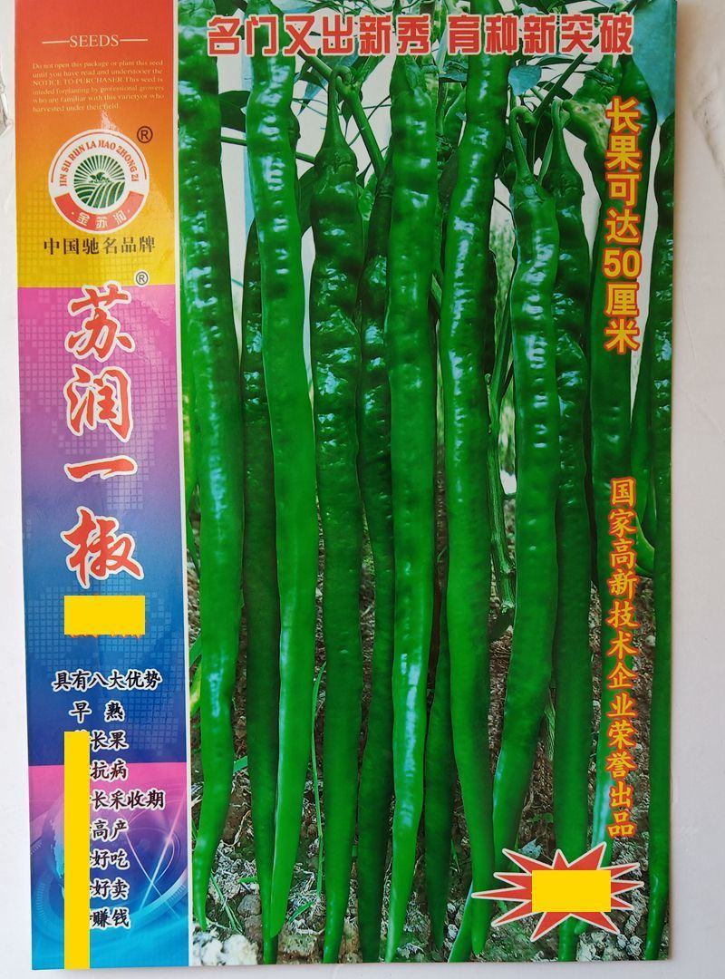 苏润一椒苏润998长线椒辣椒种籽高产早熟耐热春秋播顺直香