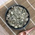 六月雪统装500g产地山东振兴药材购销站量大从