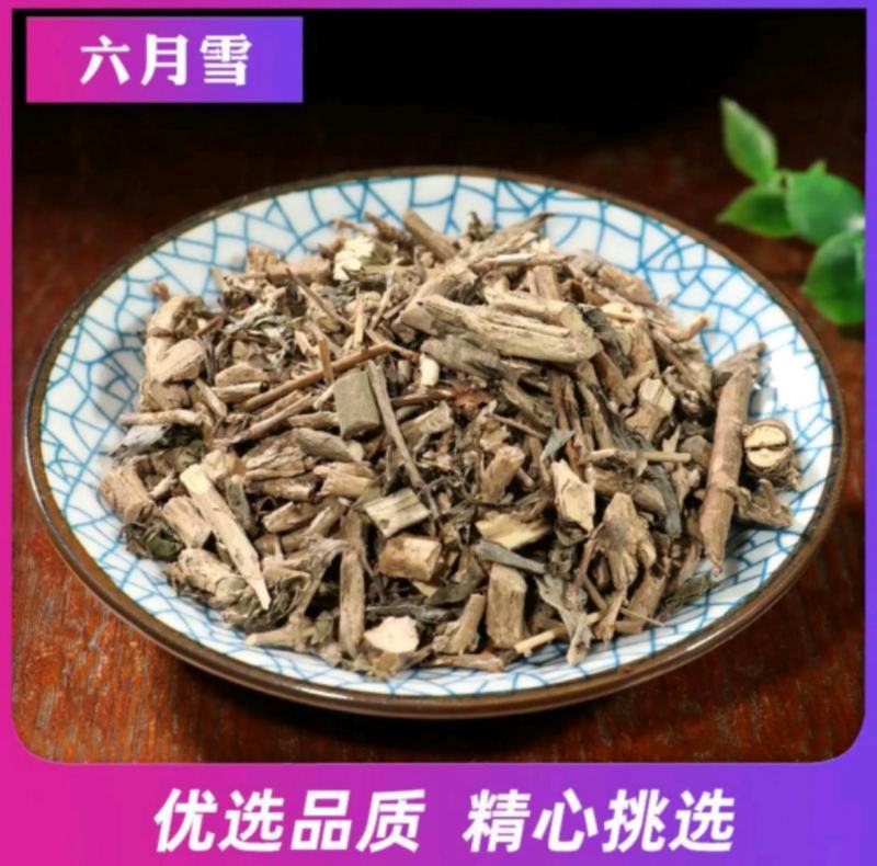 六月雪统装500g产地山东振兴药材购销站量大从
