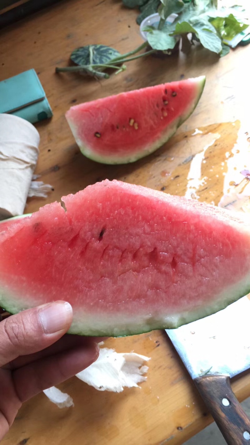 湖北露天西瓜京欣西瓜货源产地直供大量上市