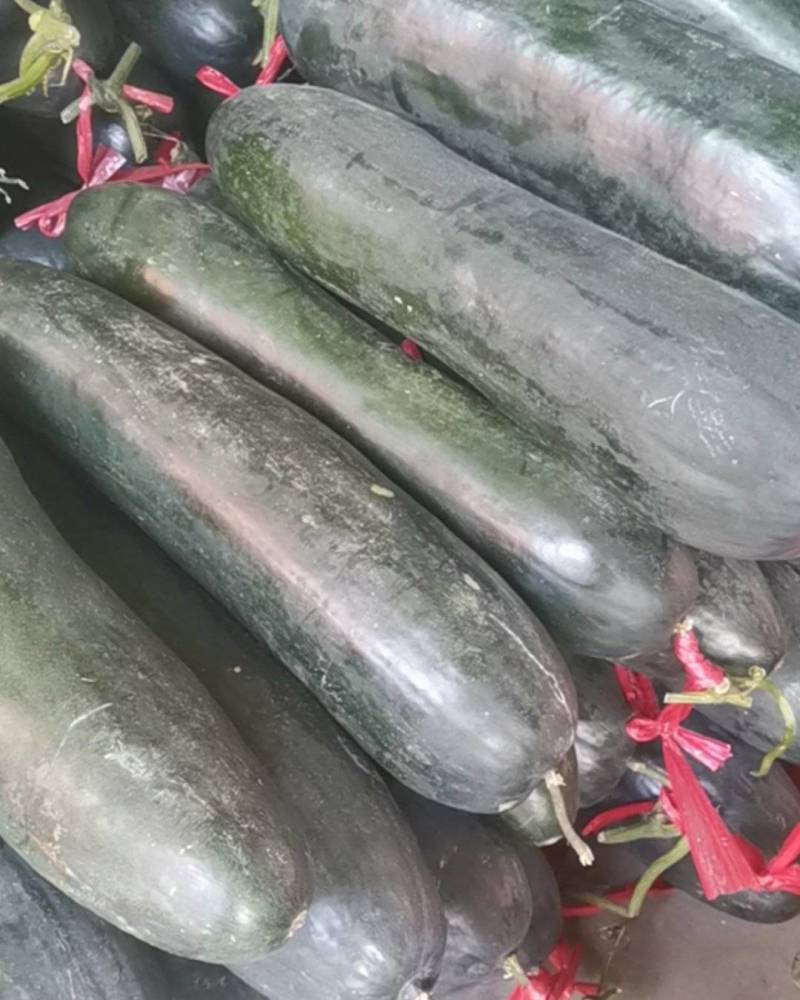 黑皮冬瓜