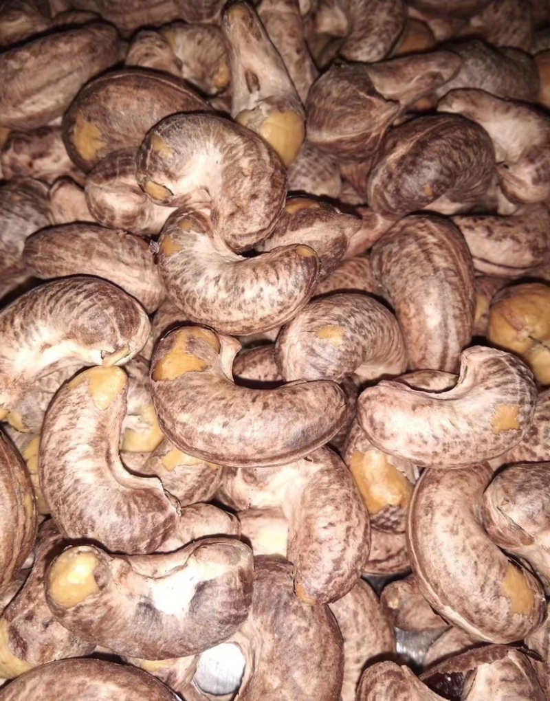 新货越南工厂一手货源带皮盐焗紫皮腰果现货批发支持定做