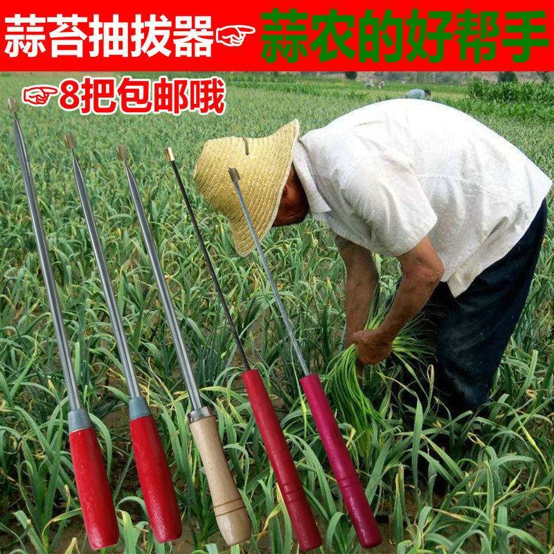 蒜苔收割器刀打抽蒜苔的工具划抽蒜薹神器蒜苔抽拔器收蒜薹刀