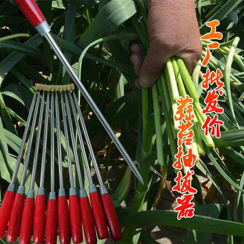 蒜苔收割器刀打抽蒜苔的工具划抽蒜薹神器蒜苔抽拔器收蒜薹刀