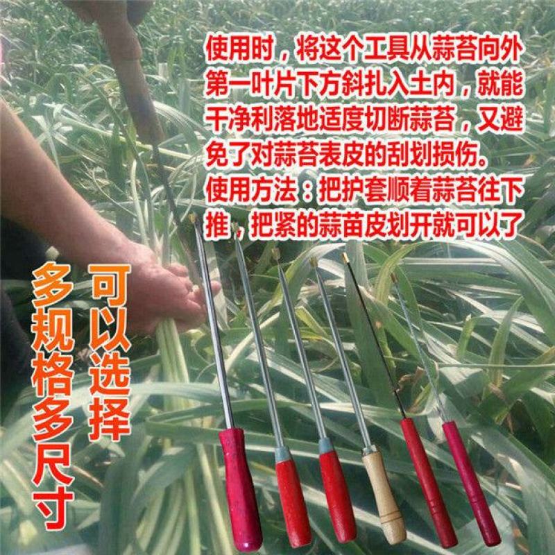 蒜苔收割器刀打抽蒜苔的工具划抽蒜薹神器蒜苔抽拔器收蒜薹刀