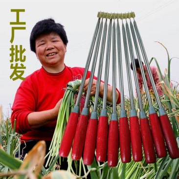 蒜苔收割器刀打抽蒜苔的工具划抽蒜薹神器蒜苔抽拔器收蒜薹刀