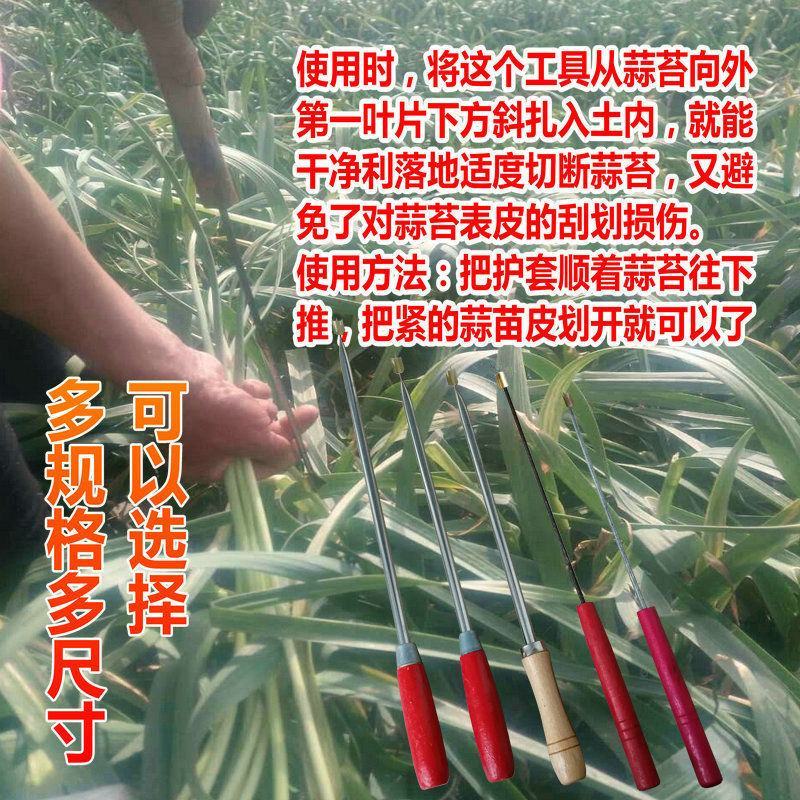 蒜苔收割器刀打抽蒜苔的工具划抽蒜薹神器蒜苔抽拔器收蒜薹刀