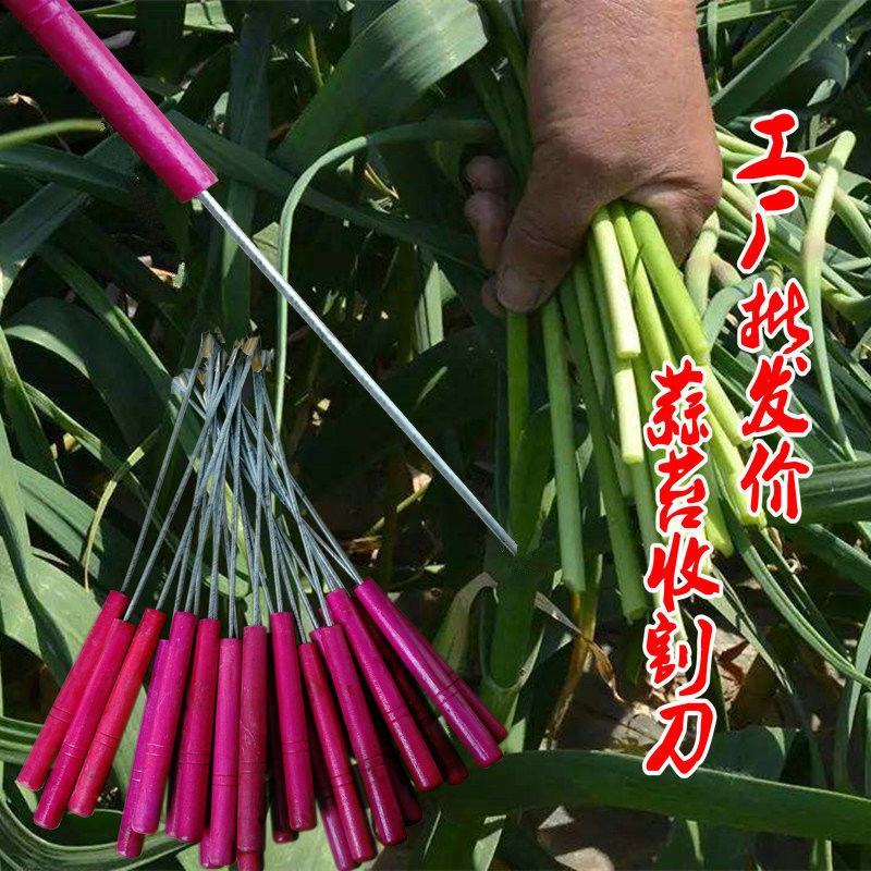 蒜苔收割器刀打抽蒜苔的工具划抽蒜薹神器蒜苔抽拔器收蒜薹刀