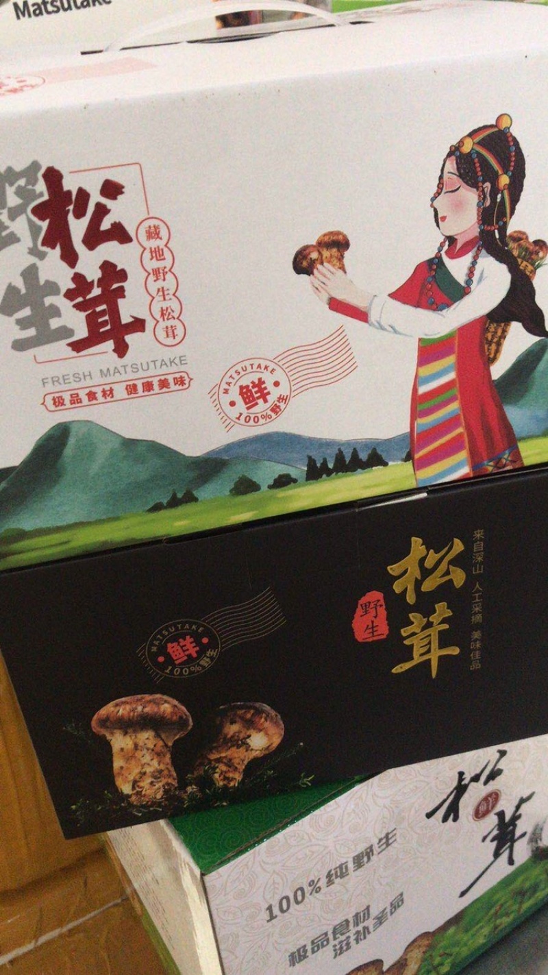 云南香格里拉新鲜松茸四川雅江松茸小金松茸顺丰生鲜直达