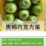 四季巧克力布丁黑柿树苗南北方种植适合庭院盆栽杯苗发货