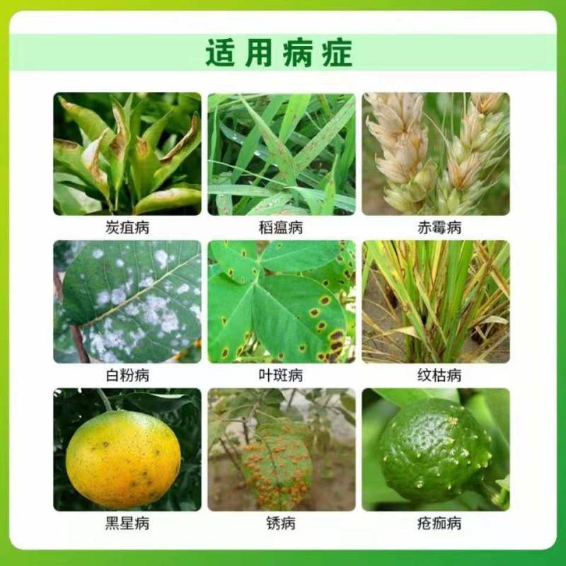 沪联盛局40%戊唑醇咪鲜胺赤霉病稻瘟炭疽青霉叶斑病杀菌剂