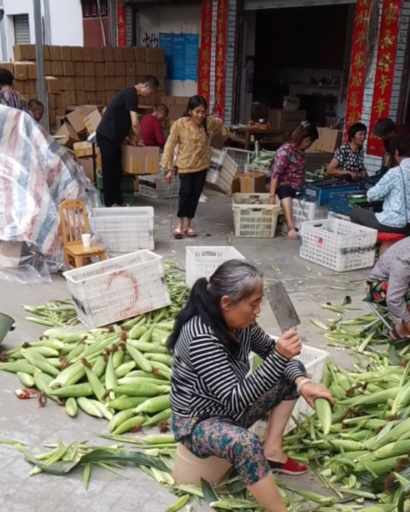 专业电商一件代发