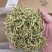 陕西商洛优质新品种金银花