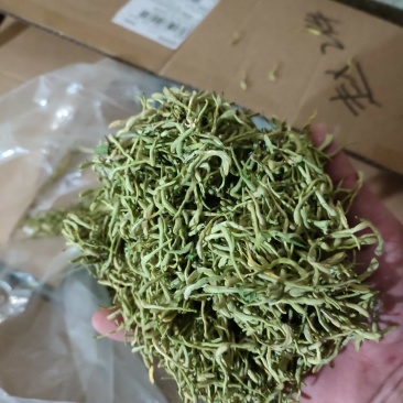 陕西商洛优质新品种金银花