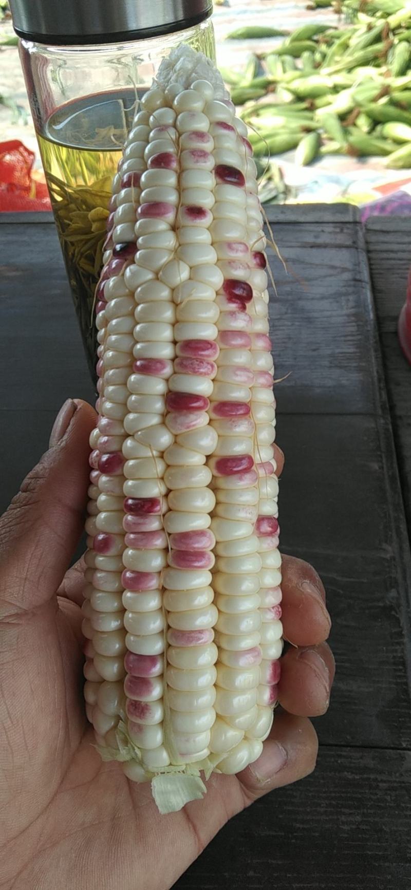 安徽芜湖玉米大量上市，产地直发，精品，水果玉米，花玉米