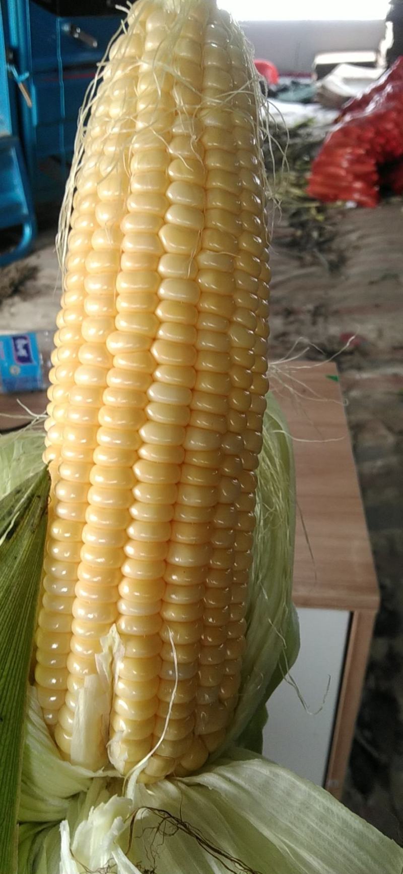 安徽芜湖玉米大量上市，产地直发，精品，水果玉米，花玉米