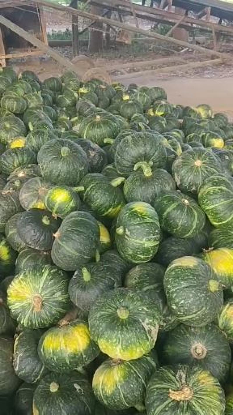 板栗南瓜