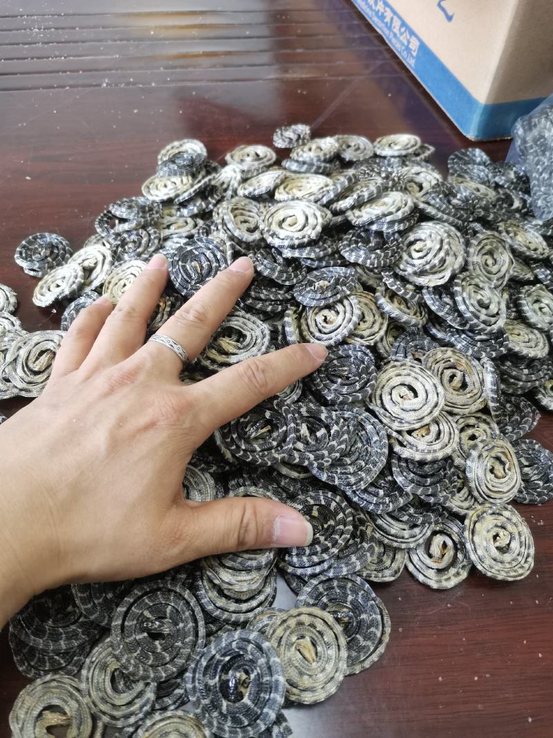 药用金钱白花蛇3到6公分以内2020版药典标准大量批发
