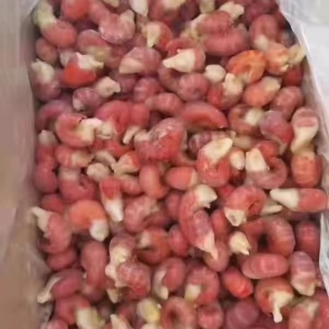 龙虾尾