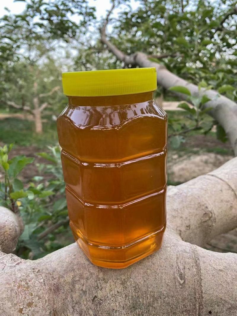 土蜂蜜，山花土蜂蜜，量大从优，售后保证