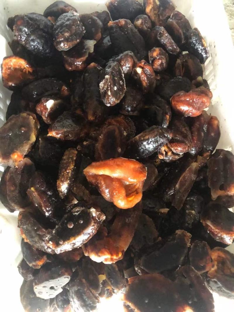 北极红参，红极参，整只切断，可贴牌，质量保证酒店流通团购