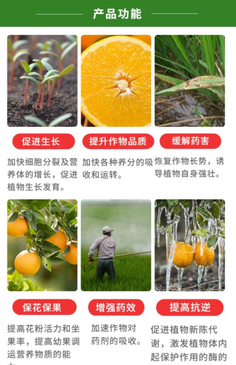 矿源黄腐酸钾调节土壤酸碱度促进生根抗重茬果树蔬菜中药材等