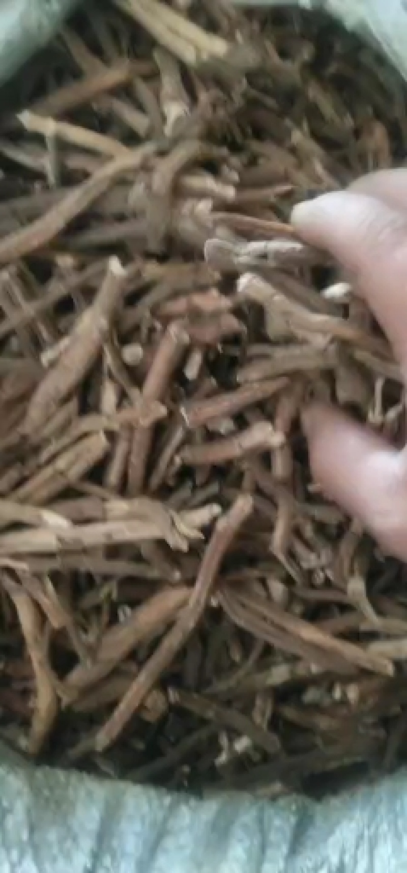丹皮，粉丹皮，黑丹皮，统货，选条，无硫无农残，高含量，